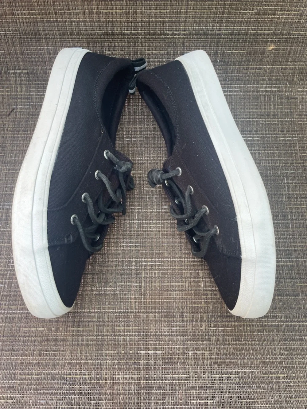Sperry white crest
