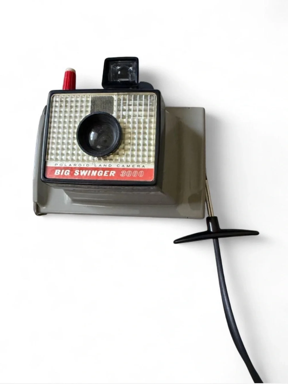 Polaroid big swinger