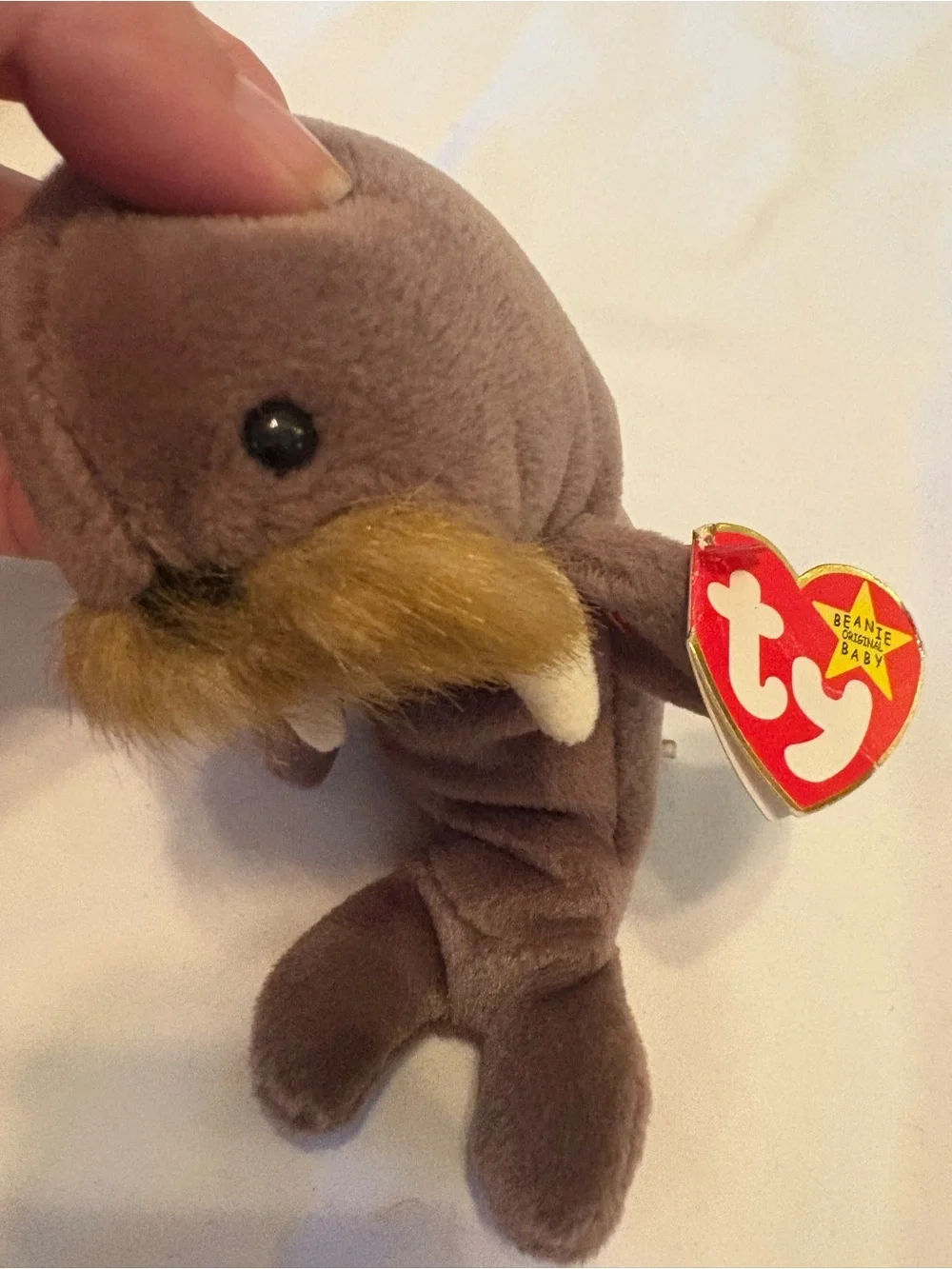 Ty includes fun from