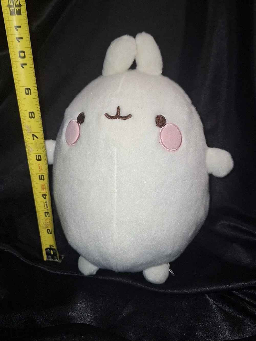 Molang aurora chubby