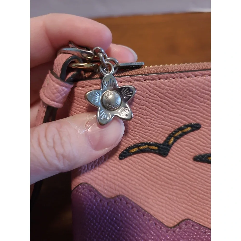 Coach mountain motif