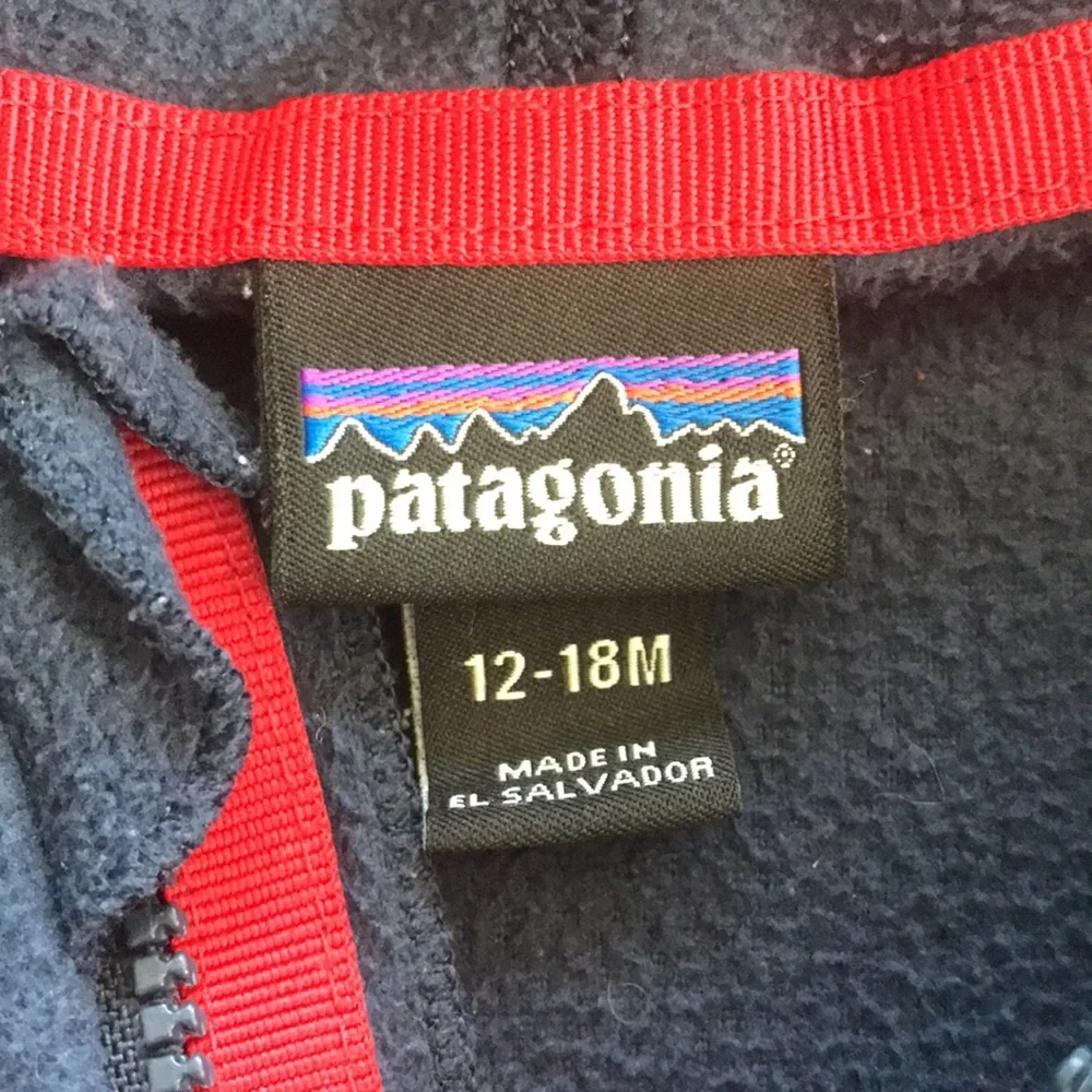 Patagonia hooded fleece