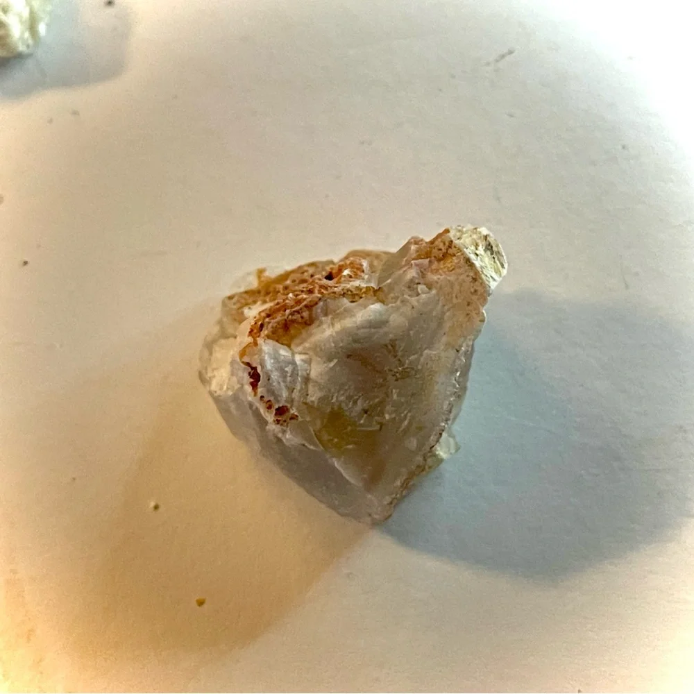 Earth new petrified
