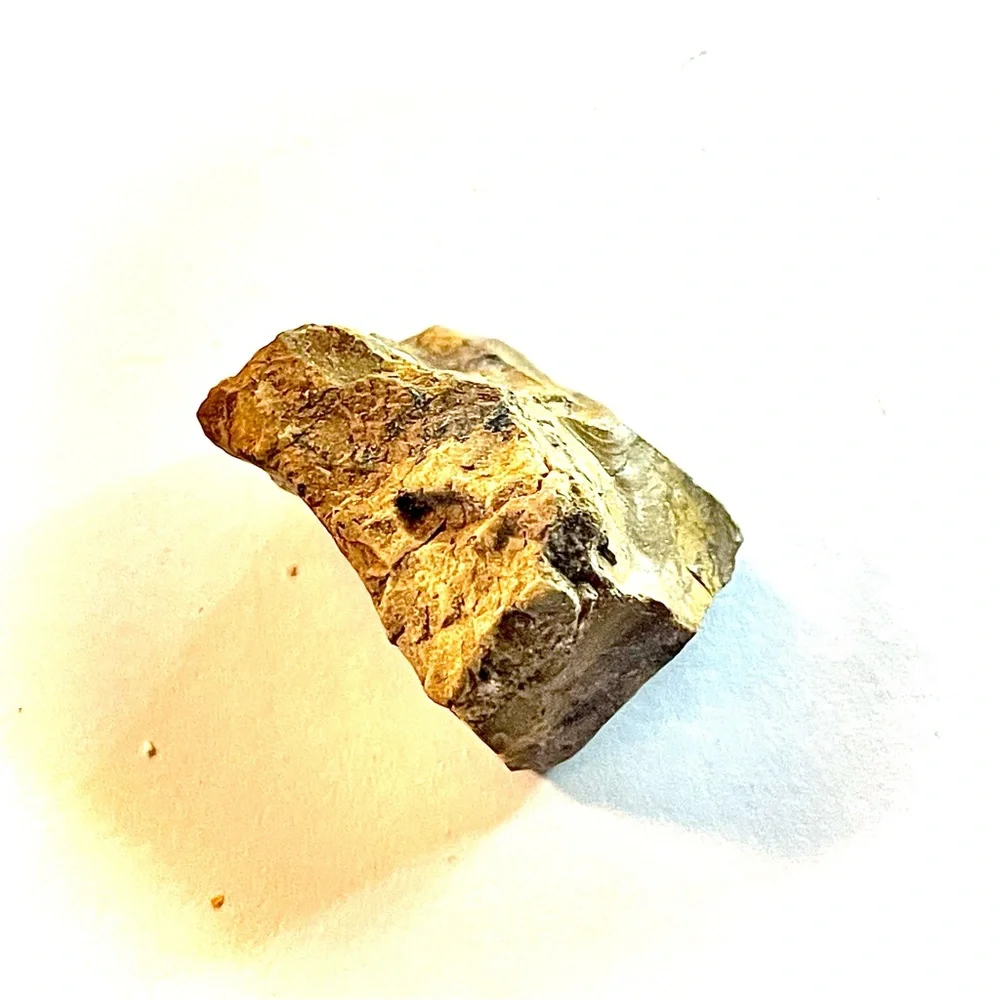 Earth new petrified