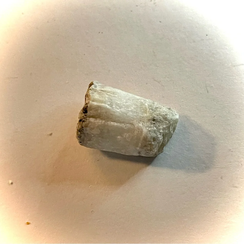 Earth new petrified