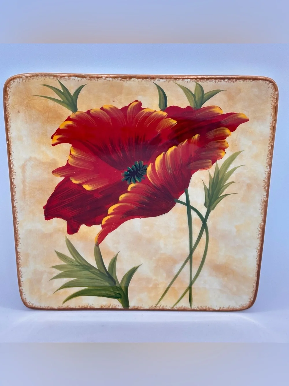 Pier 1 POPPIES Earthenware Salad Plate 8 3/8