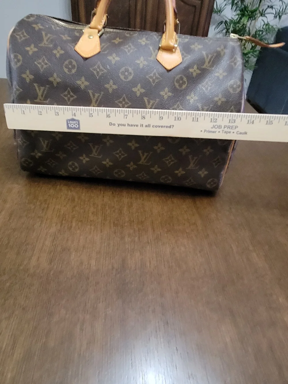 Louis Vuitton everyday carrying