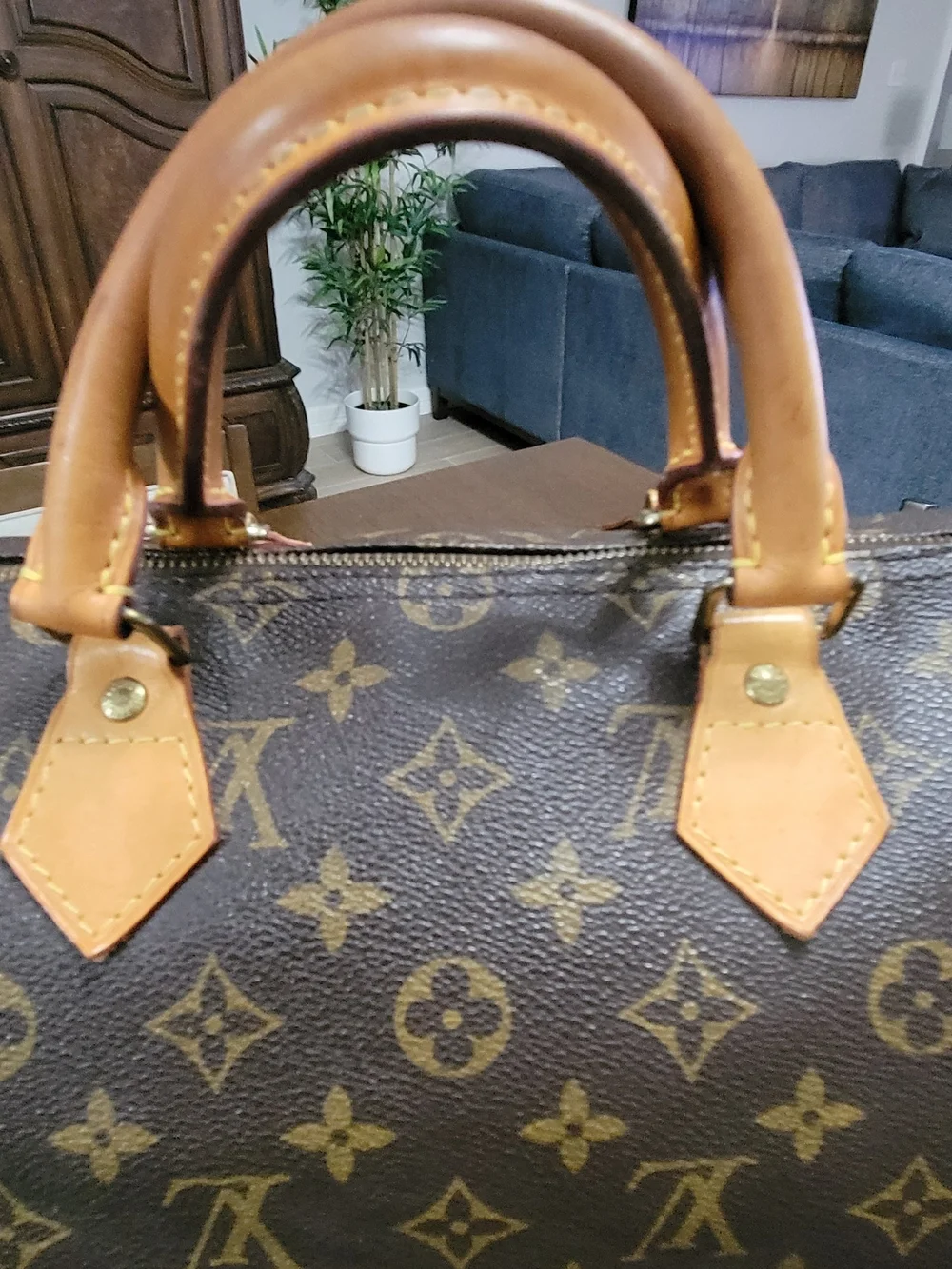 Louis Vuitton 35 trim speedy