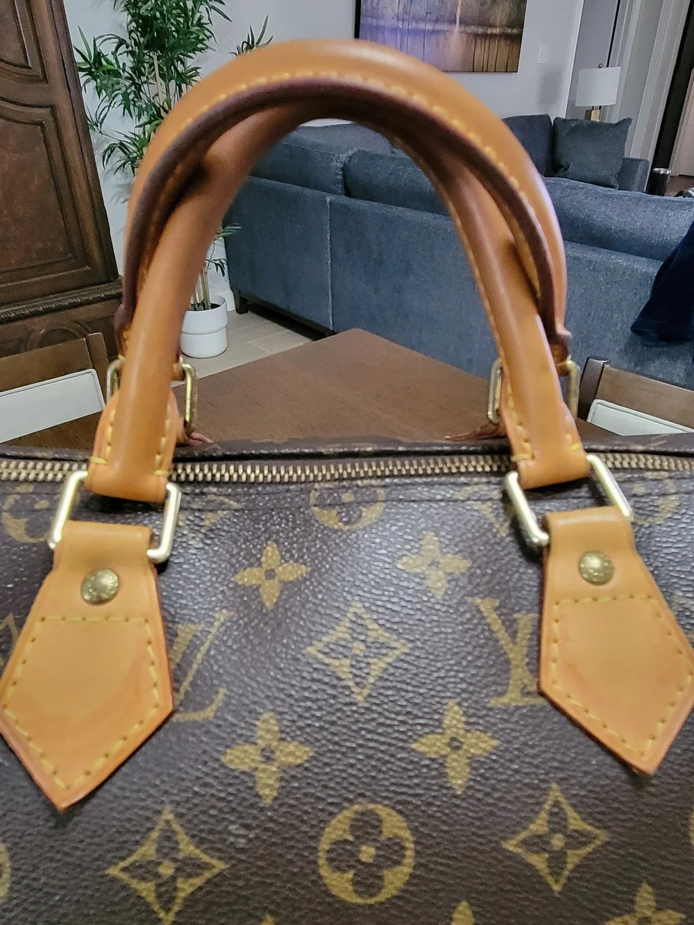 Louis Vuitton style easy canvas