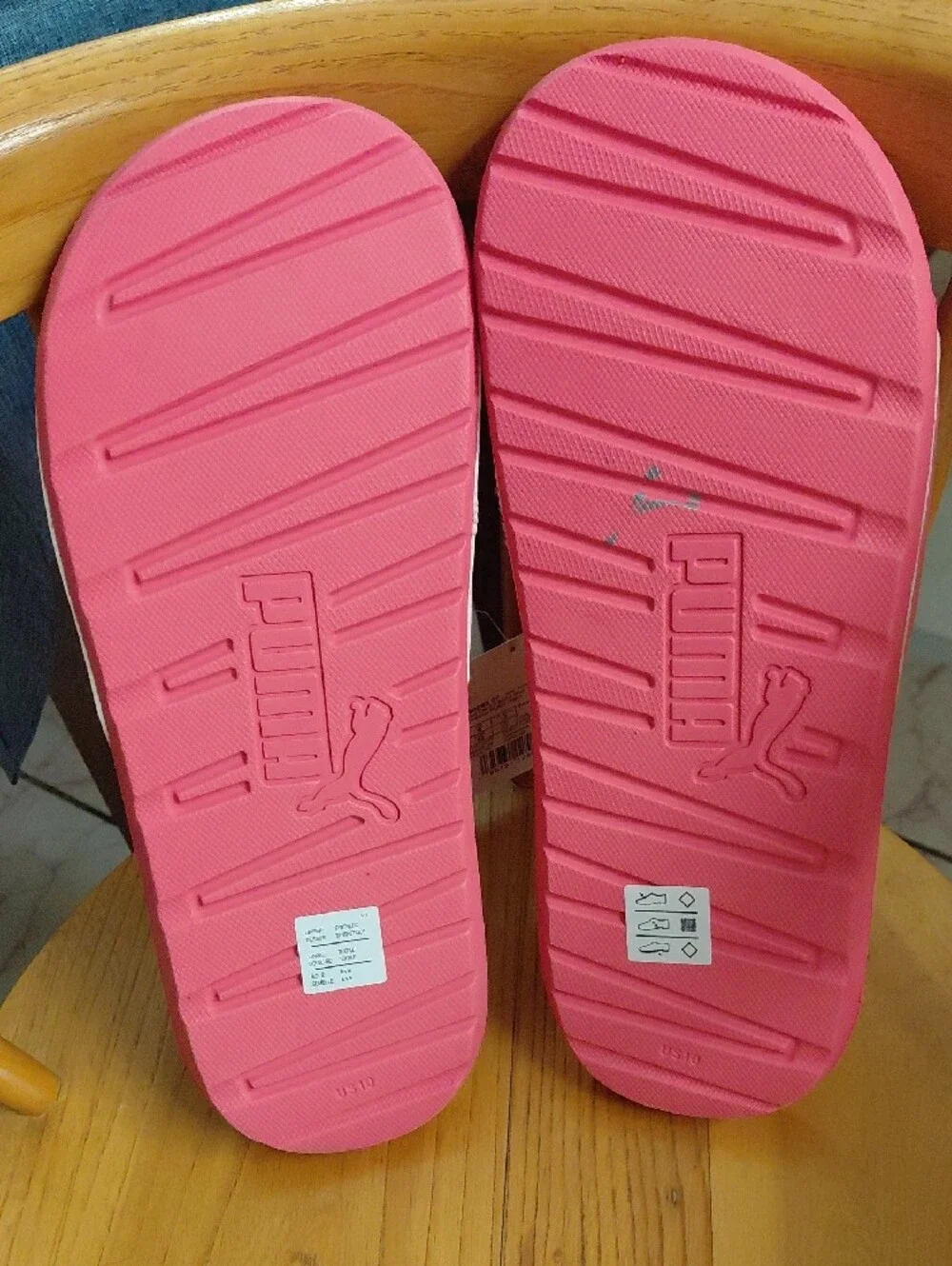 Puma cat lightweight