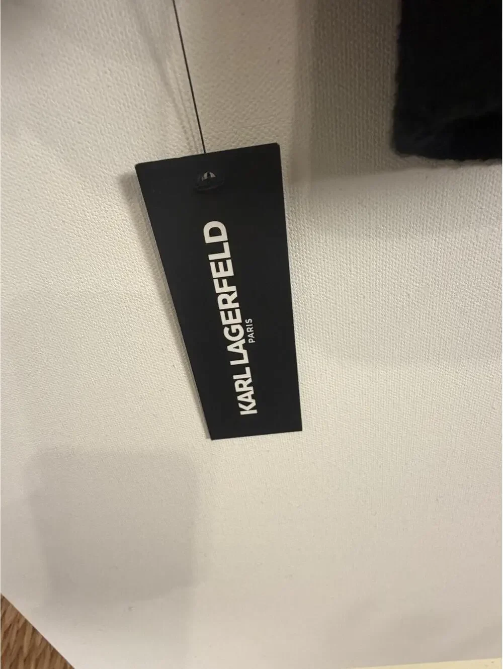 Karl Lagerfeld this karl