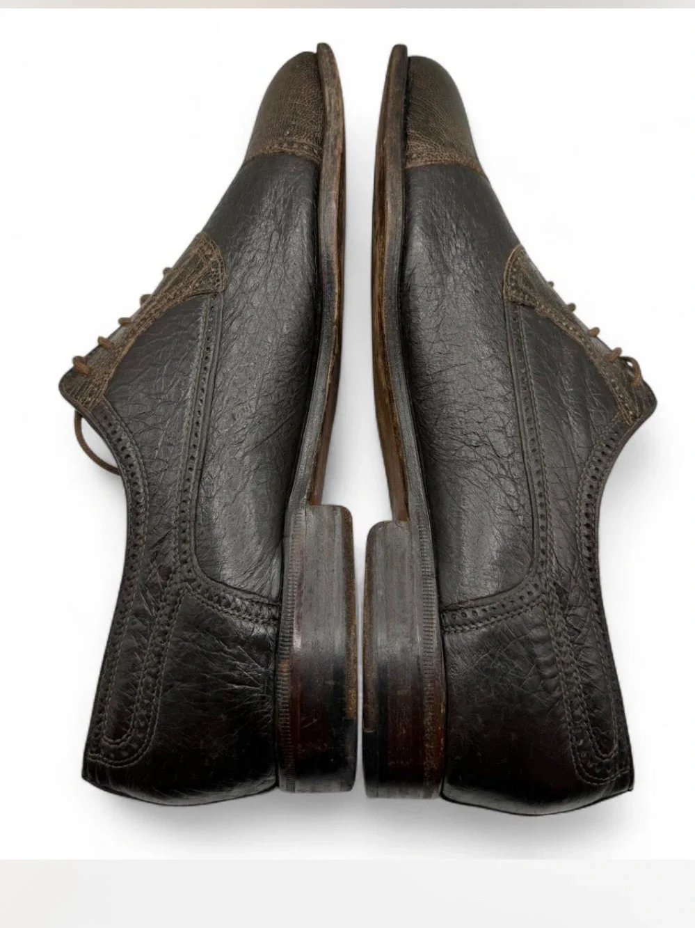 Moreschi men ostrich