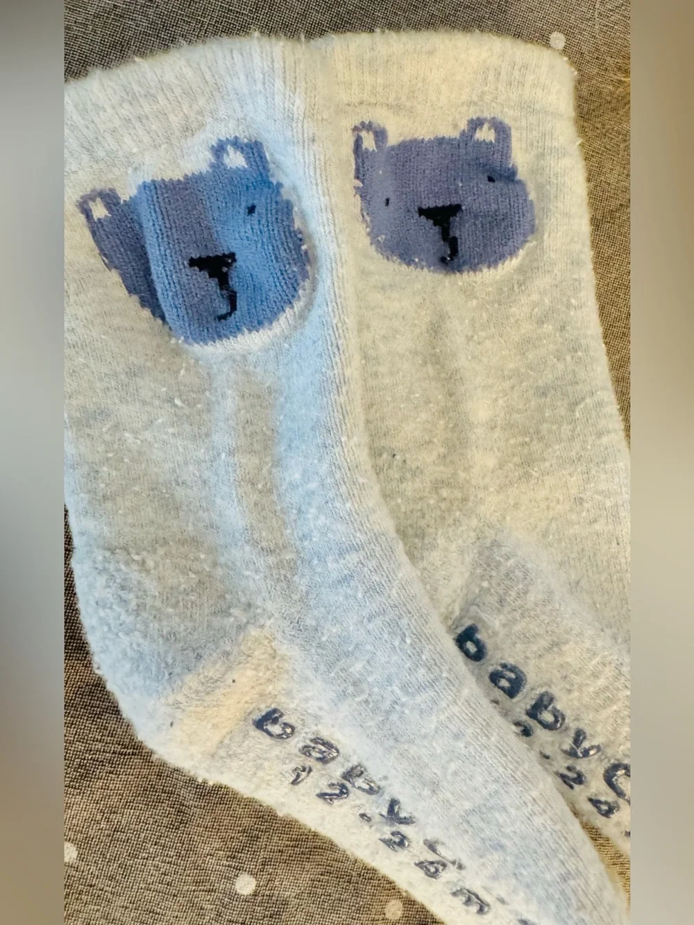 Hanna Andersson pet socks including