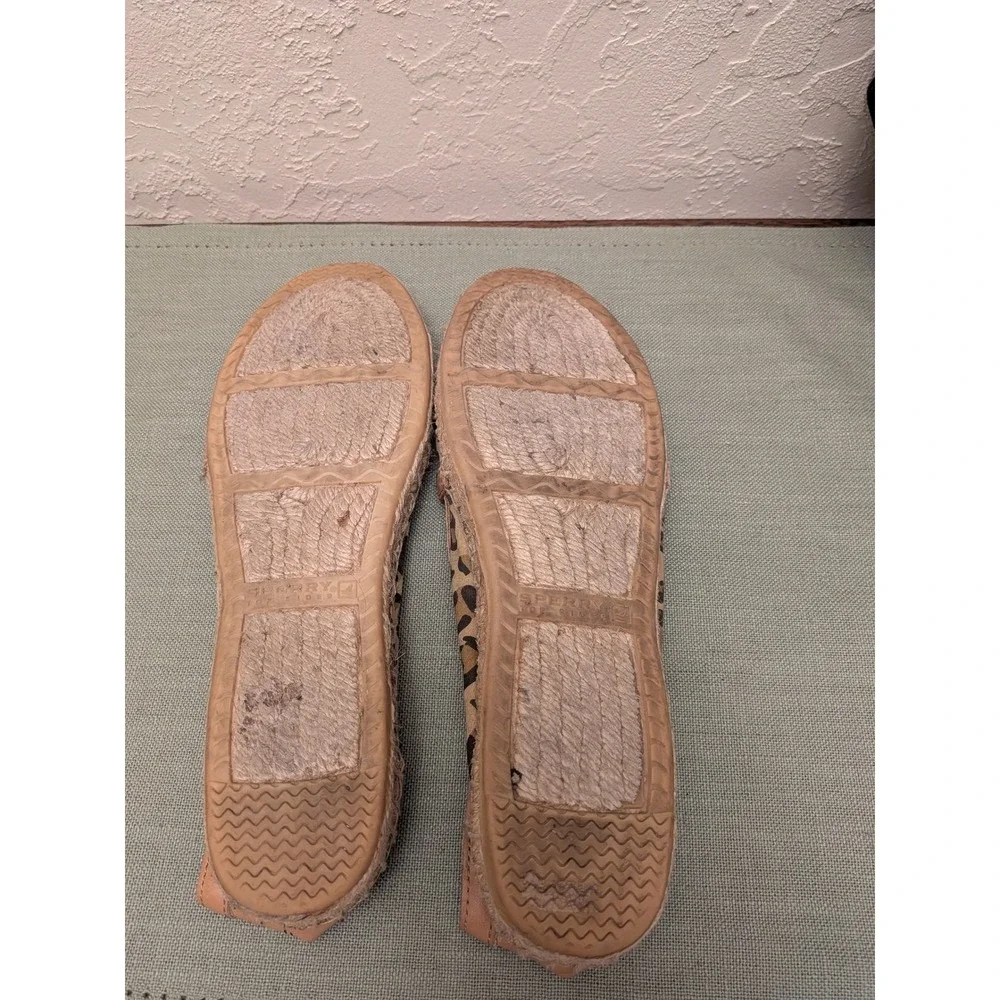 Sperry top sider