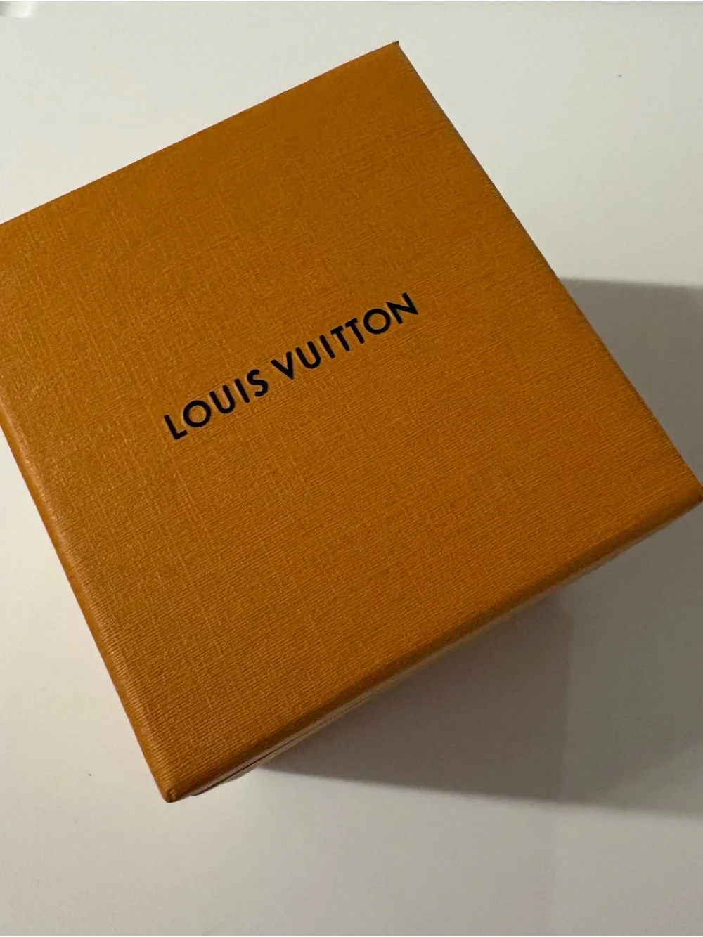 Louis Vuitton structured louis