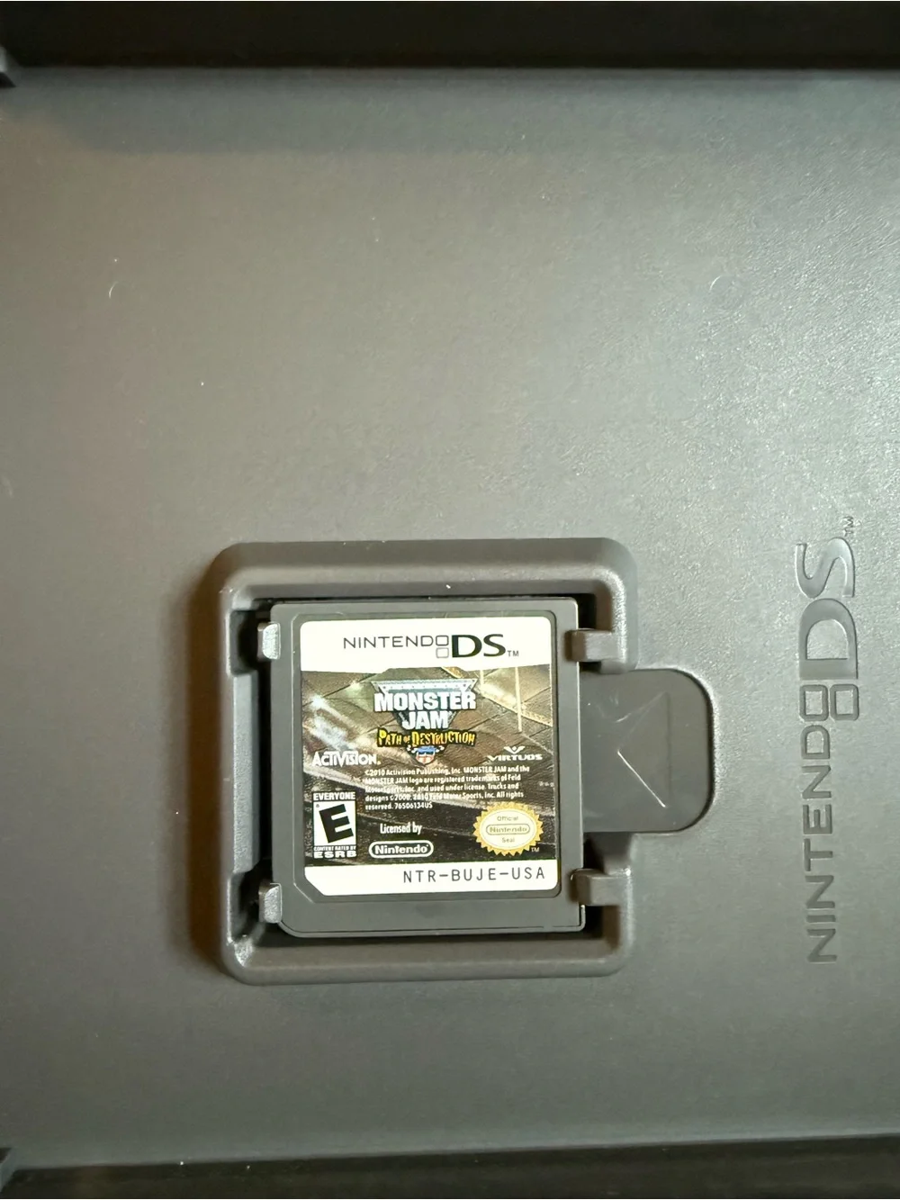 Nintendo ds game