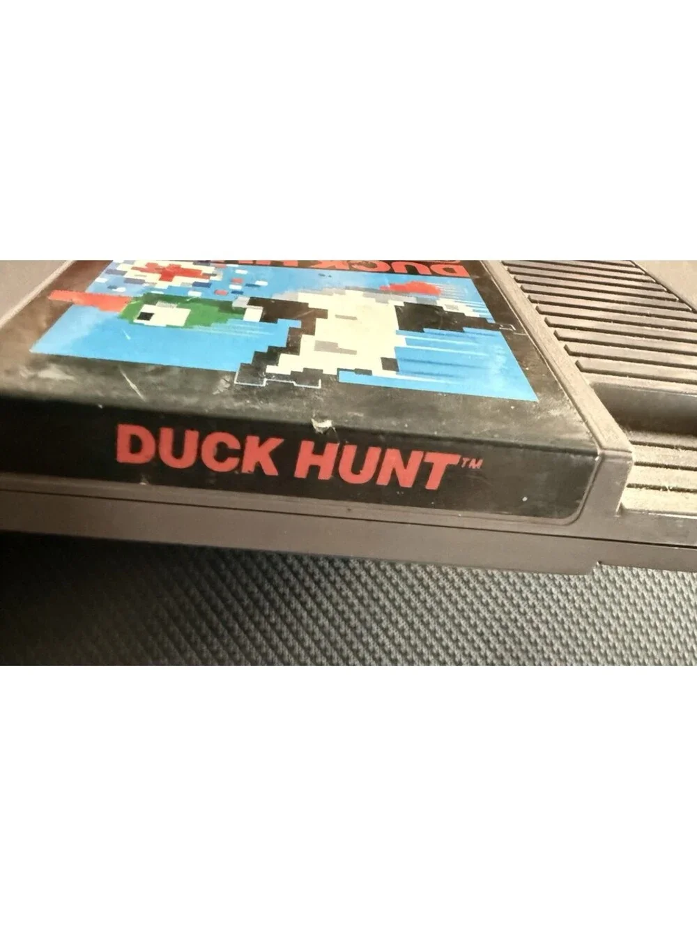 N/A nintendo duck