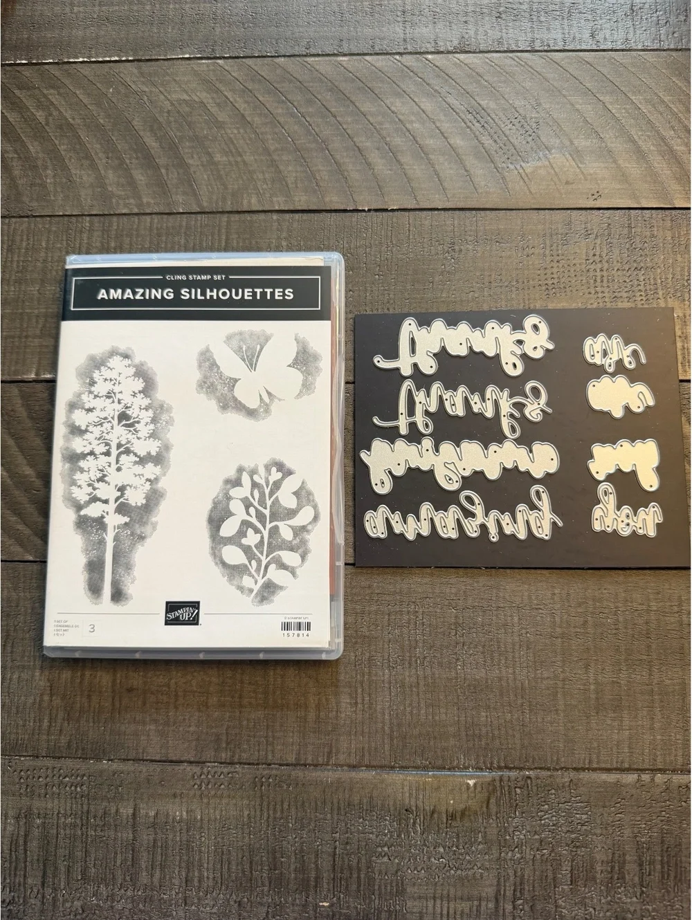 Stampin’ Up Amazing Silhouettes stamp set and Amazing Thanks Dies die cut set