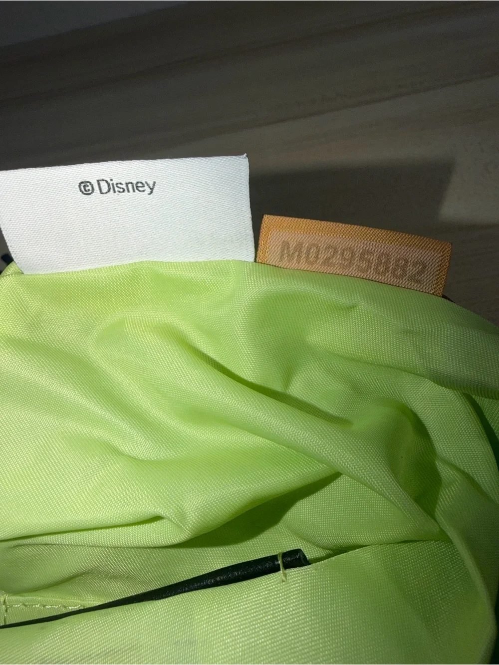 Disney **disney parks