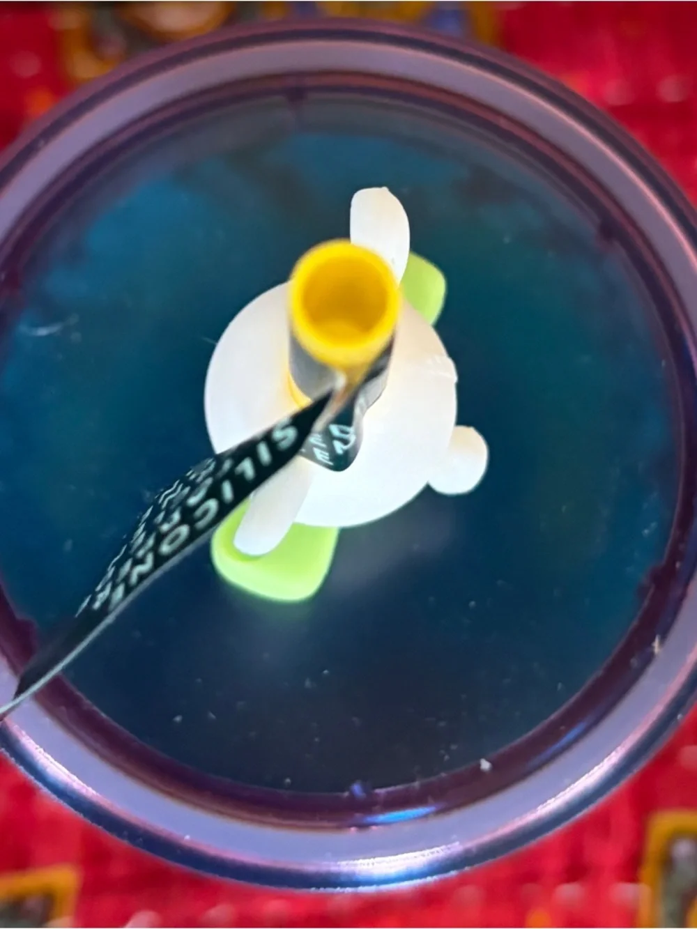 Starbucks easter 2025