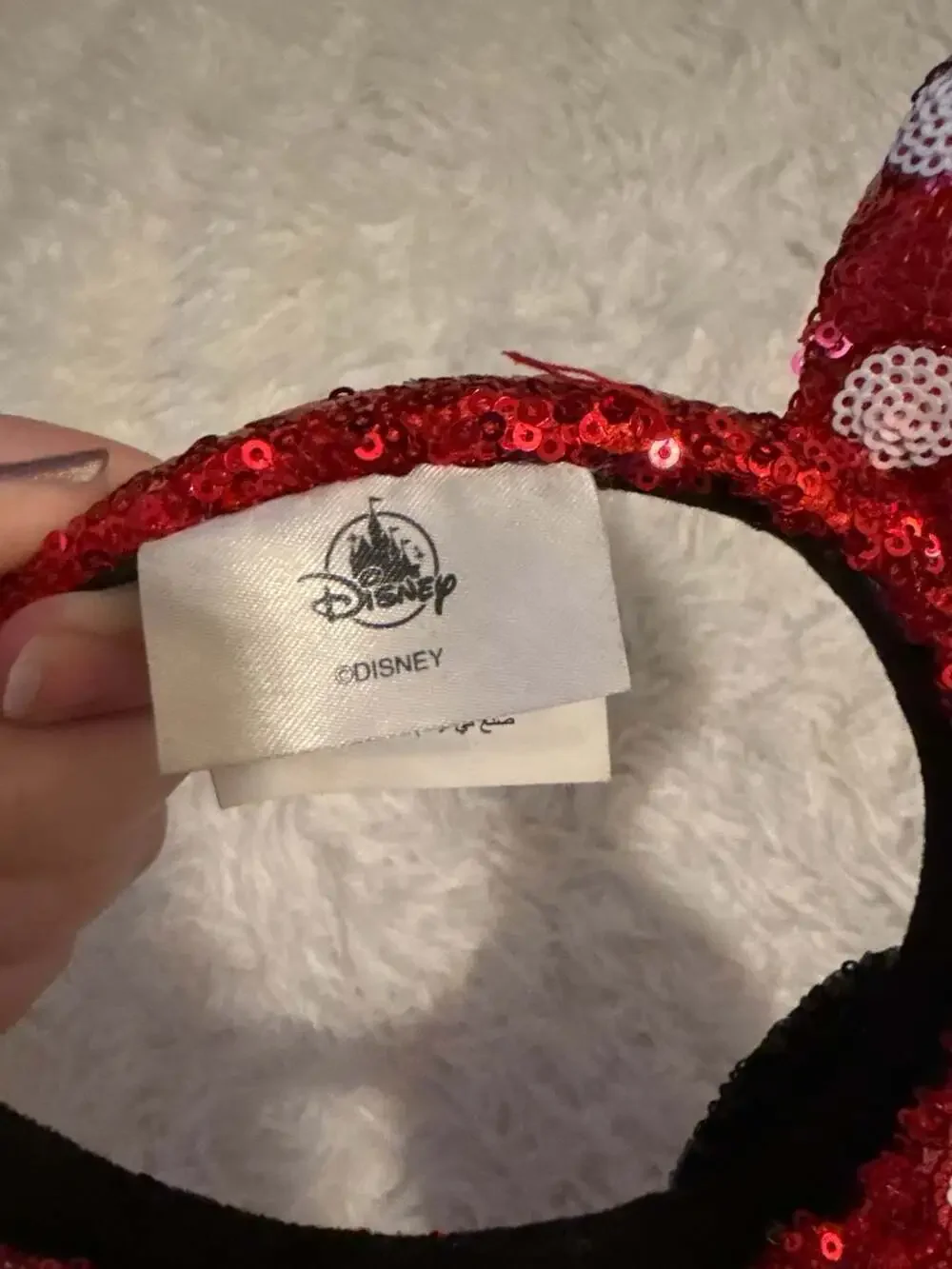 Disney authentic parks