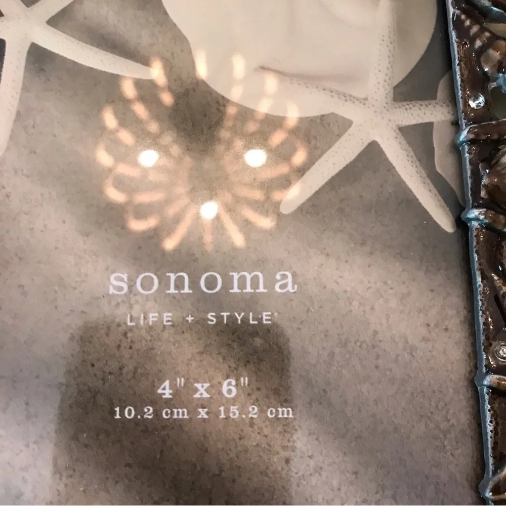 Sonoma 🐚starfish metal