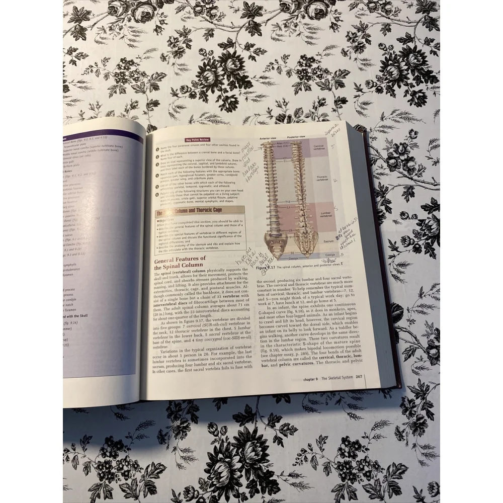 McGraw-Hill 🔴🫁 explore