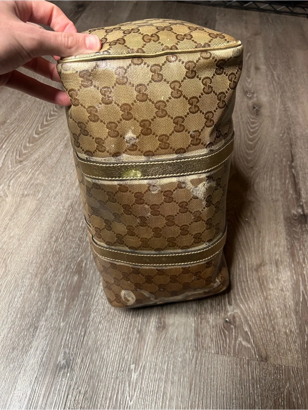 Gucci iconic gg