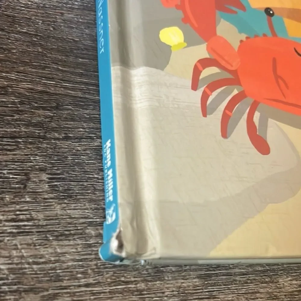 usborne secrets seashore