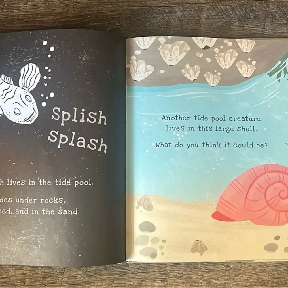 usborne secrets seashore