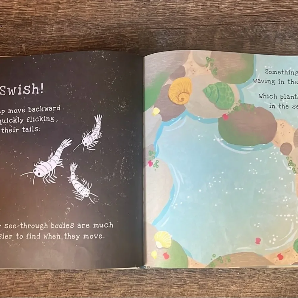 usborne secrets seashore