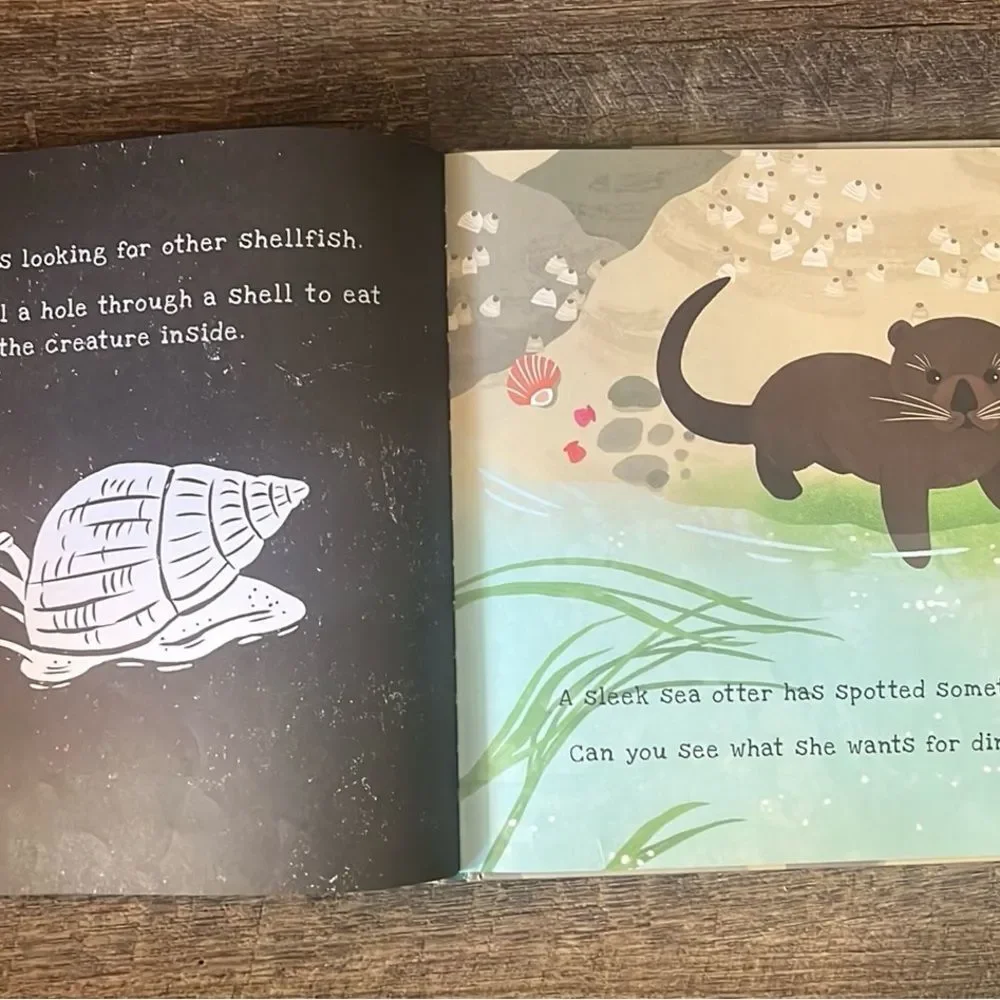 usborne secrets seashore