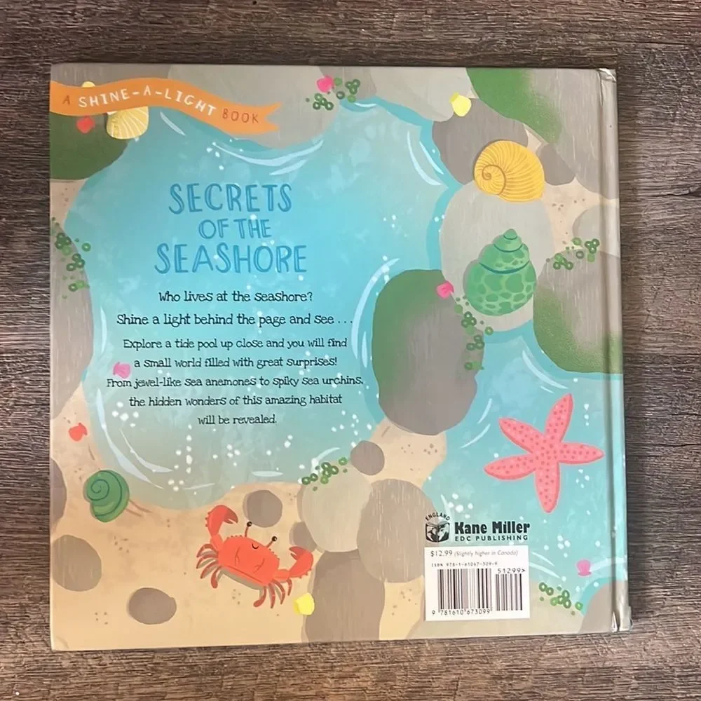 usborne secrets seashore