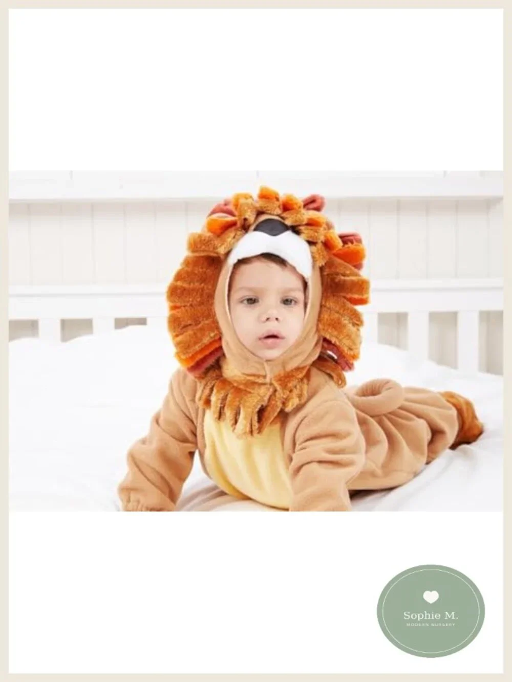Toddler Lion Costume with Toy Zebra - Halloween Dress Up