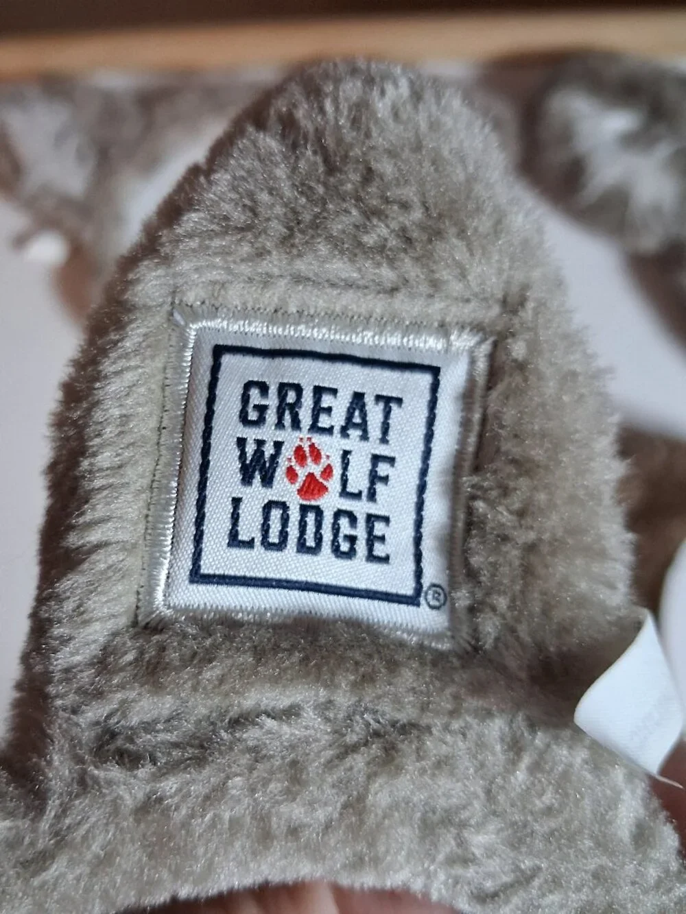 Great Wolf Lodge this fun
