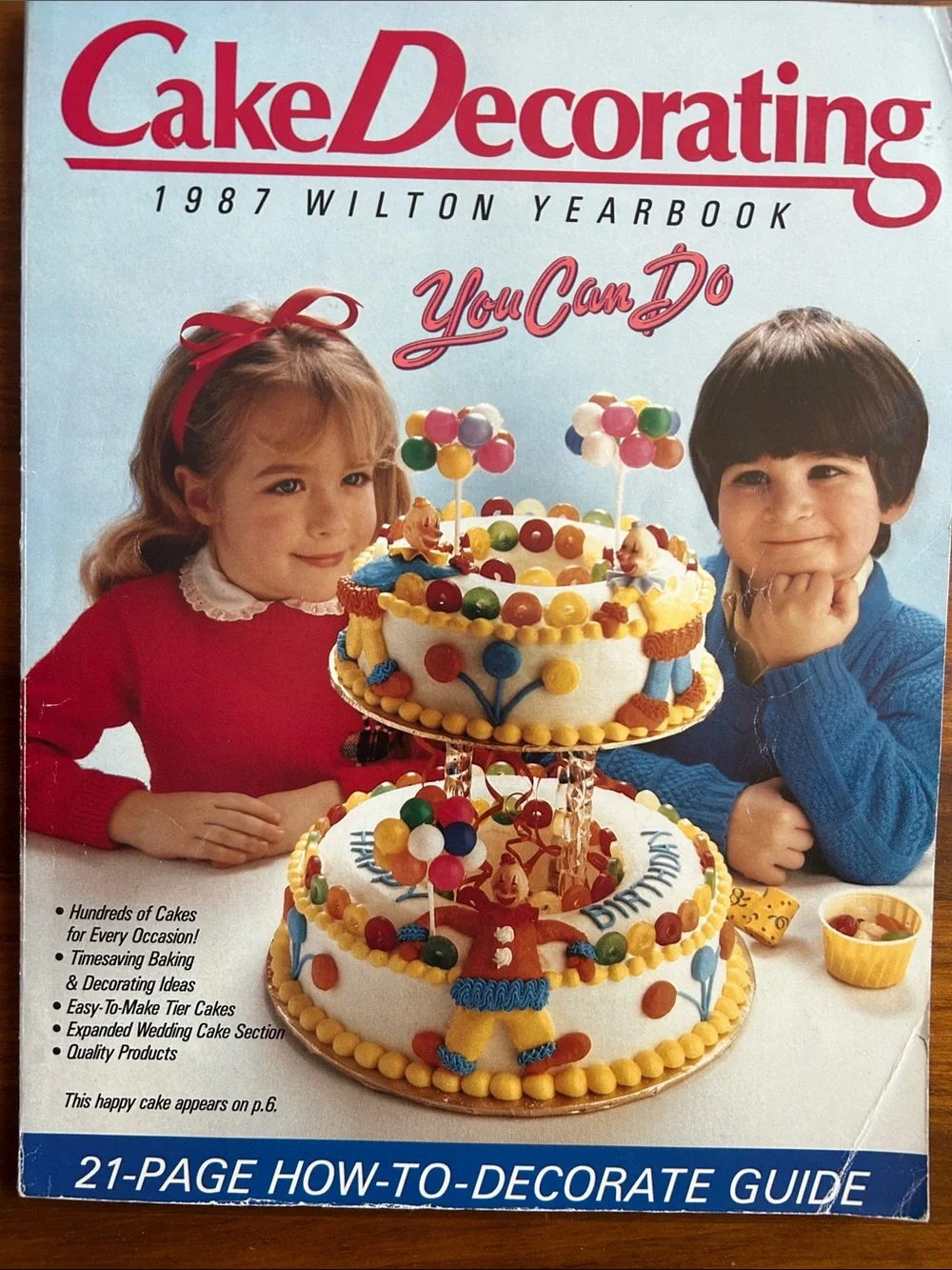 Wilton cake decorating
