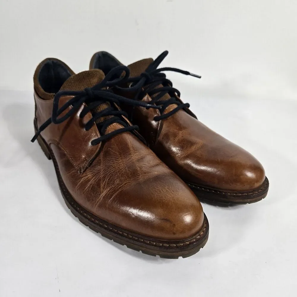Bull Boxer brown us