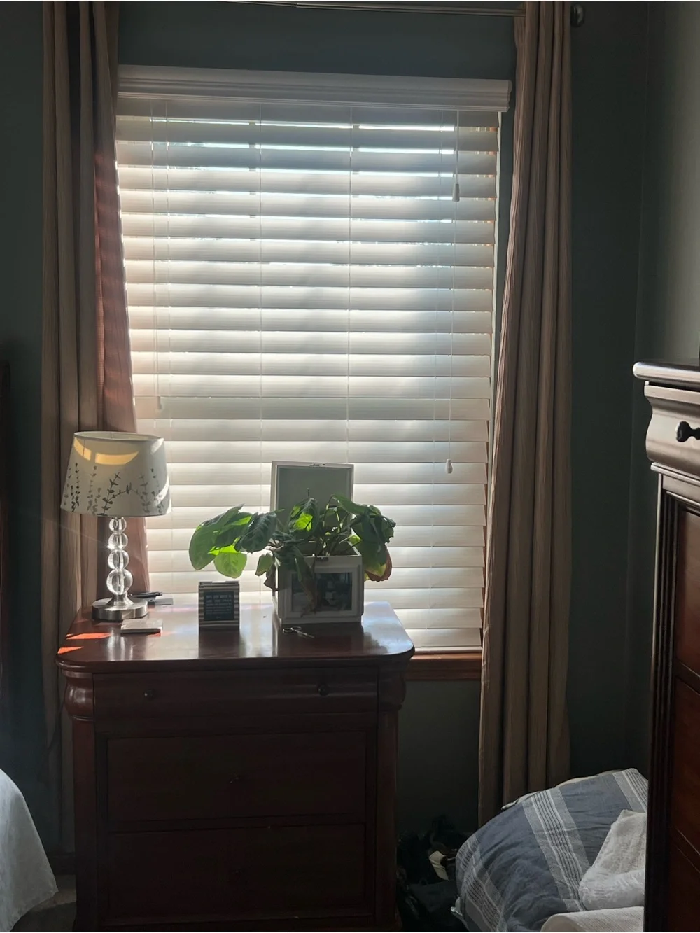 Allen + Roth soft beige
