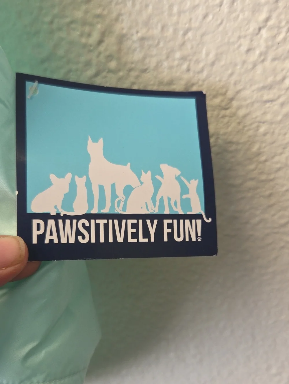 Pawsitively Fun light blue