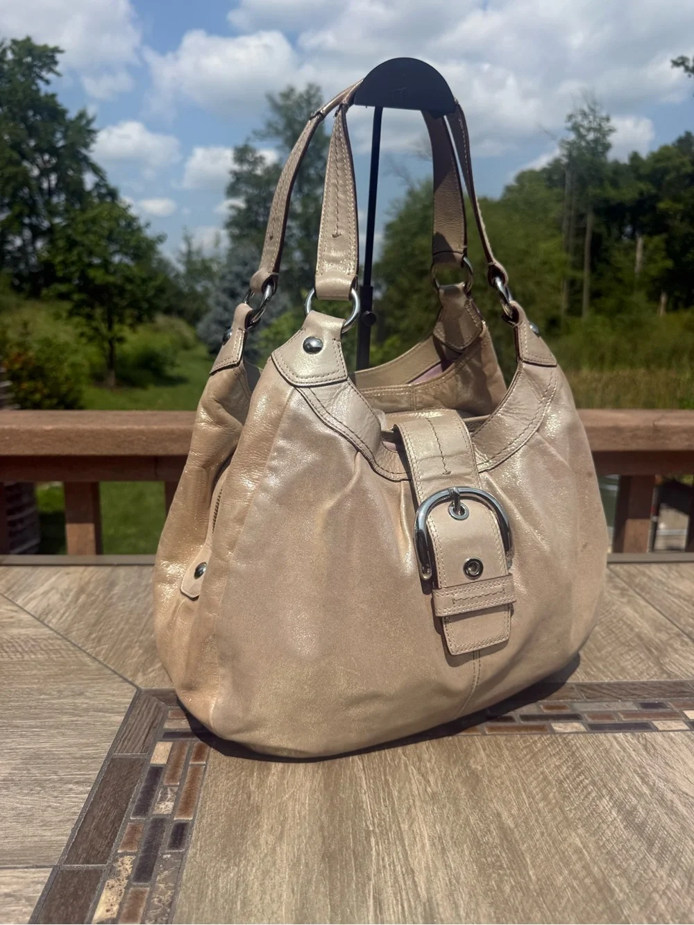 Coach classic y2k