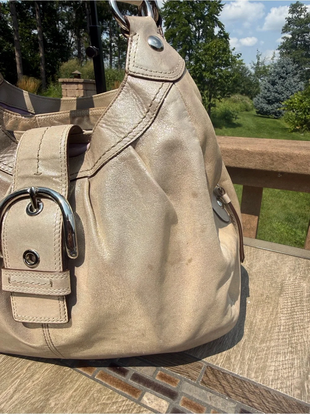 Coach classic y2k