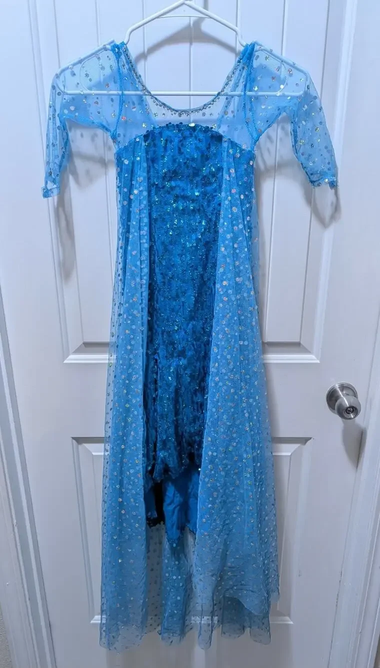Disney Frozen 2 Elsa Blue Sequin Princess Dress Sz 4 Halloween Costume Cosplay