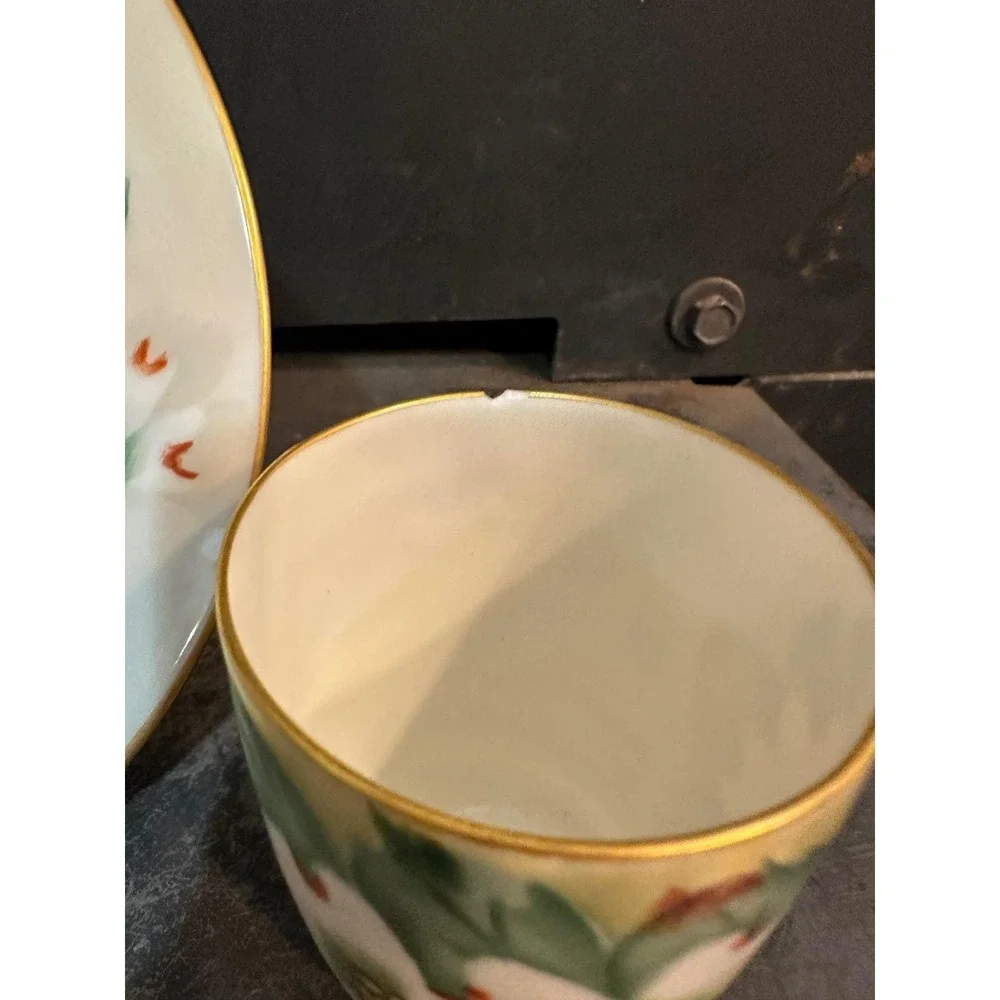 Royal Bavarian Hutschenreuther Selb matching century soft