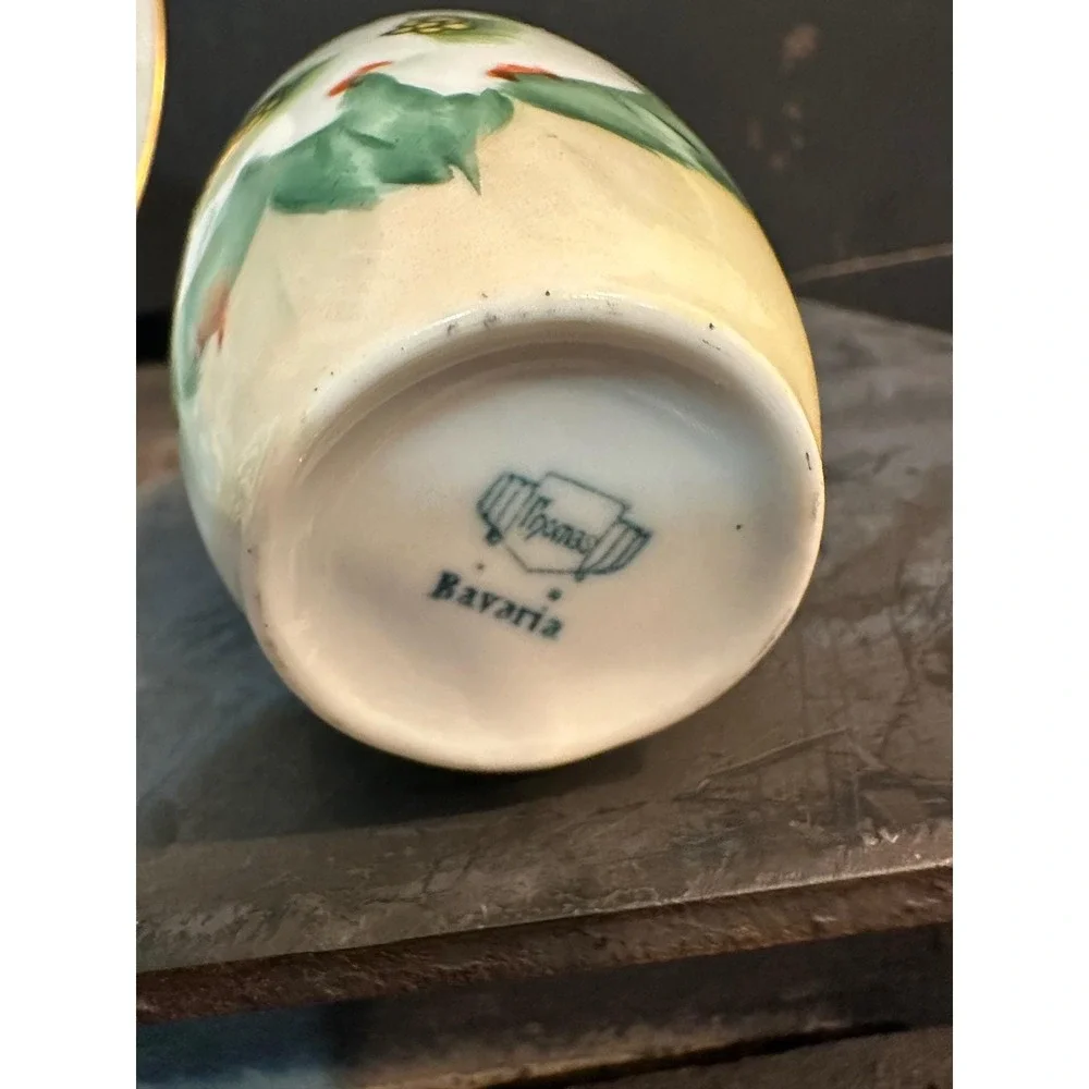 Royal Bavarian Hutschenreuther Selb painted foliage