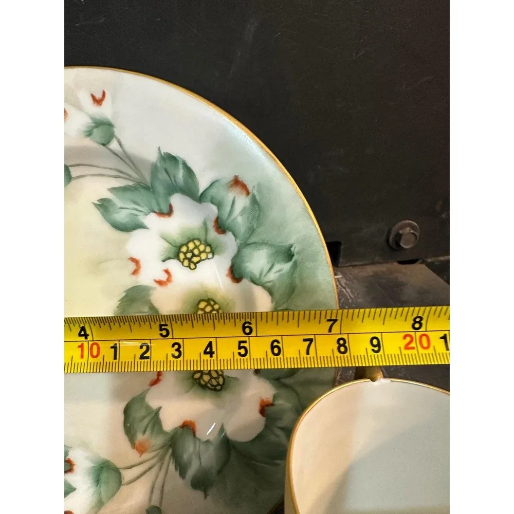Royal Bavarian Hutschenreuther Selb exquisite century touch