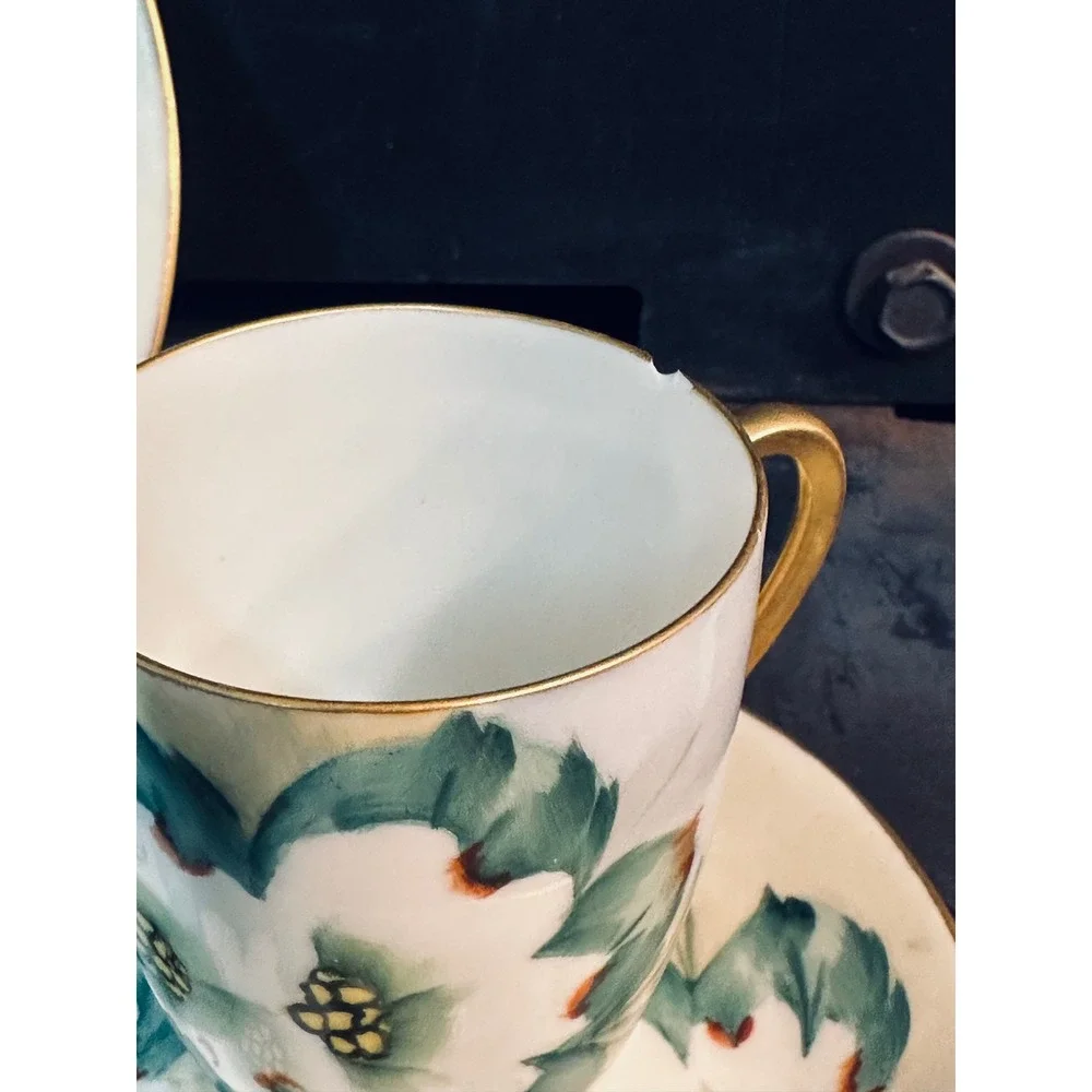 Royal Bavarian Hutschenreuther Selb hand accents