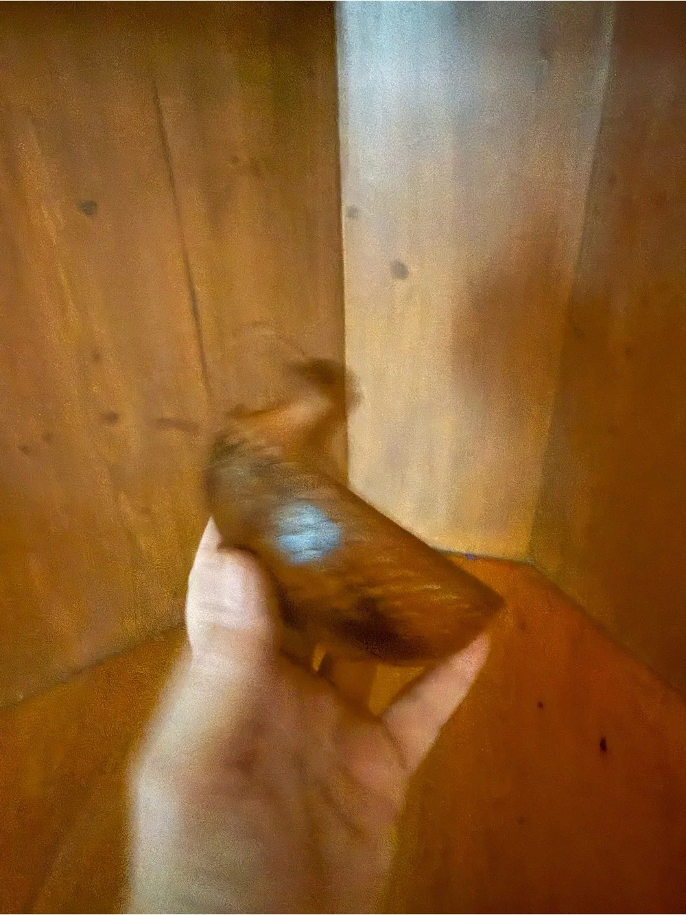 N/A vintage hand