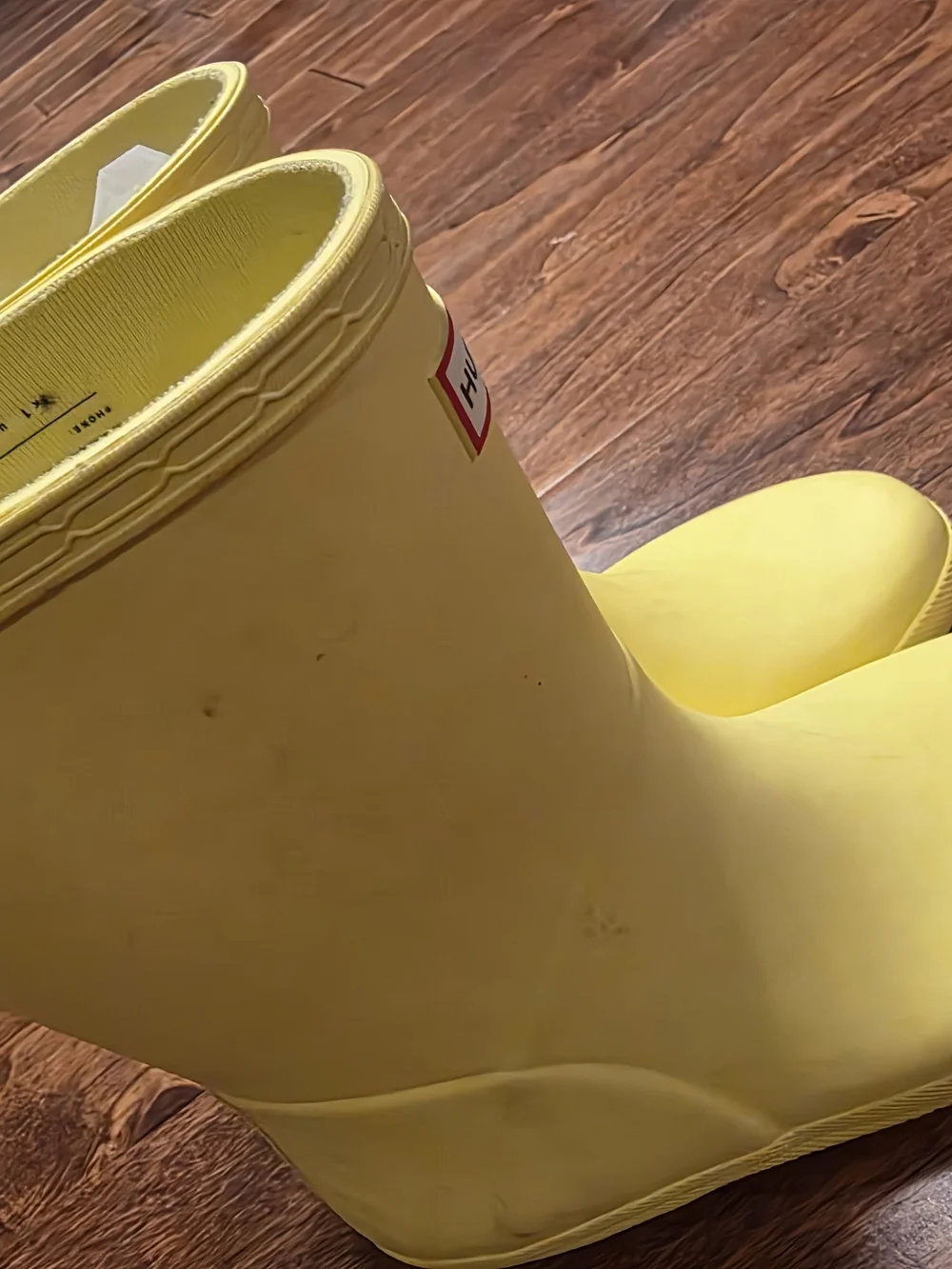 Hunter vibrant yellow
