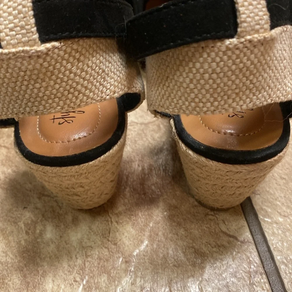 Style & Co. women’s size