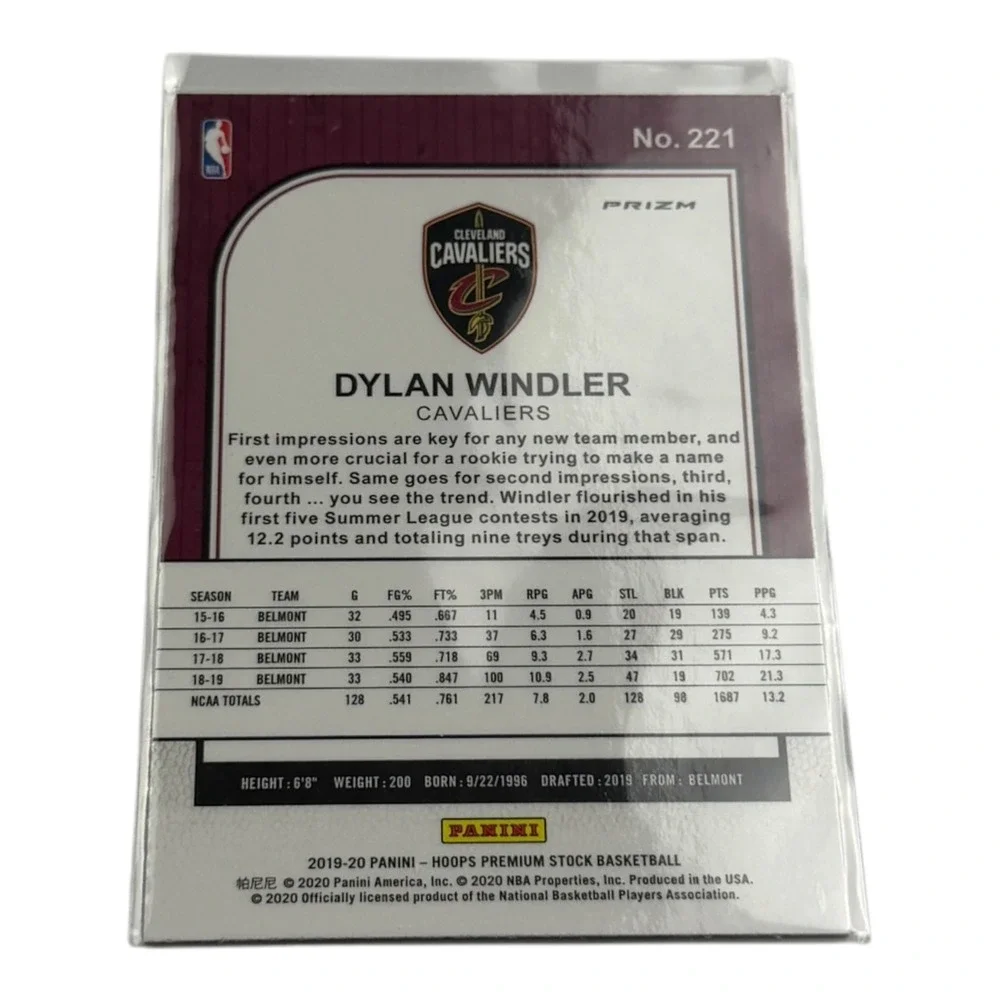 Panini brand series